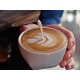 100 Ароматизированные Джо Кофе Капсулы на выбор и тепловой чашки -Nespresso Бесплатная доставка