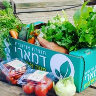 Свежий органический овощ дело-разделение в Гуш-Дан