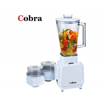 blueberry mixer grinder 550 watt price