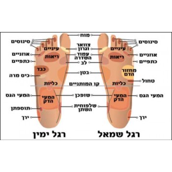 מדרך העיסוי החדש של GERMAINE נותן לכם חווית מסאג' לרגליים עייפות וכואבות מדרך העיסוי החדש של GERMAINE נותן לכם חווית מסאג' לרגליים עייפות וכואבות