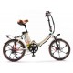 Electric Bike – City Premium Low 3D Free Shipping
