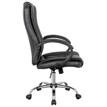 Luxurious-looking executive chair and rich leather upholstery Luxurious-looking executive chair and rich leather upholstery