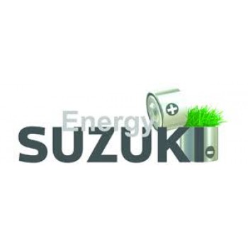 1600W SUZUKI Energy 130BAR Professional Pressurized Washing Machine - Free Shipping 1600W SUZUKI Energy 130BAR Professional Pressurized Washing Machine - Free Shipping